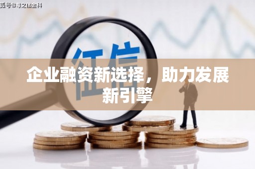 合肥企业融资新选择，助力发展新引擎