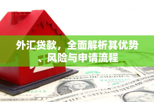 合肥外汇贷款，全面解析其优势、风险与申请流程