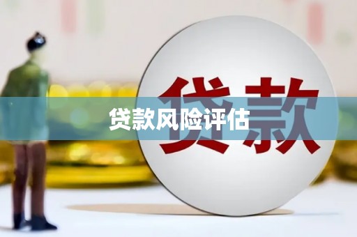 合肥贷款风险评估