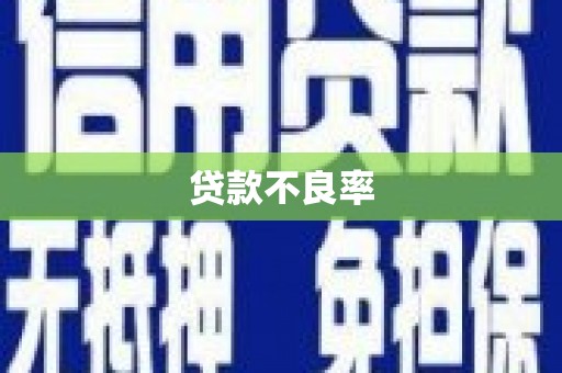 合肥贷款不良率