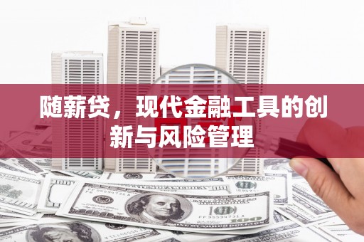 合肥随薪贷，现代金融工具的创新与风险管理