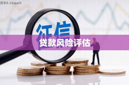 合肥贷款风险评估