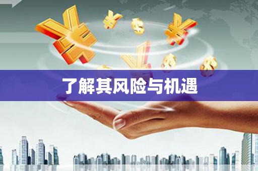合肥了解其风险与机遇