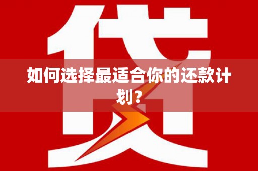 合肥如何选择最适合你的还款计划？