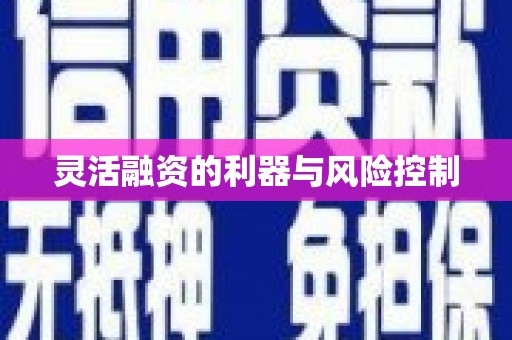 合肥灵活融资的利器与风险控制