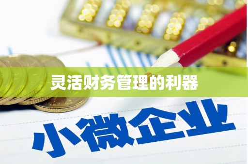 合肥灵活财务管理的利器