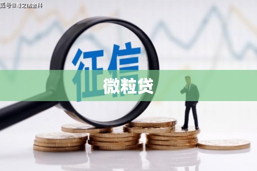 合肥微粒贷