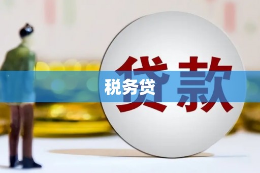 合肥税务贷