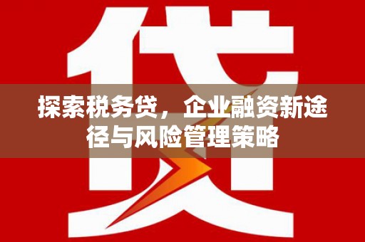 合肥探索税务贷，企业融资新途径与风险管理策略