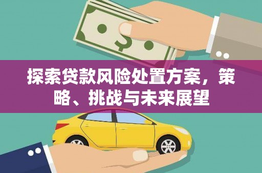 合肥探索贷款风险处置方案，策略、挑战与未来展望