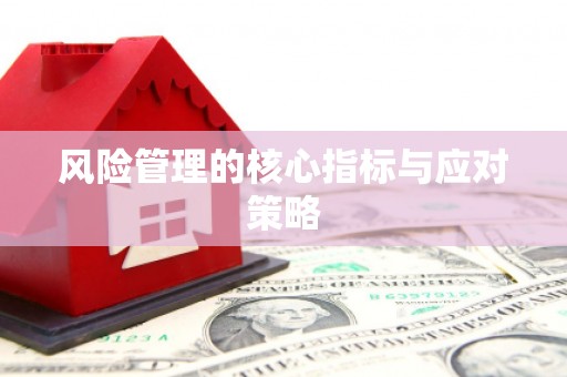 合肥风险管理的核心指标与应对策略