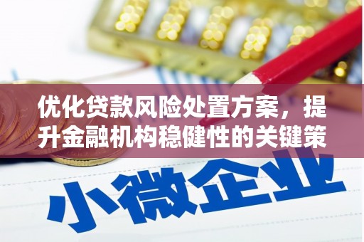 合肥优化贷款风险处置方案，提升金融机构稳健性的关键策略