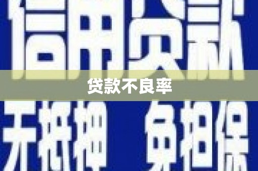 合肥贷款不良率