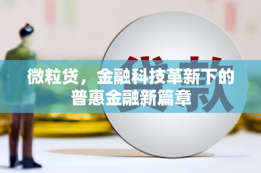 合肥微粒贷，金融科技革新下的普惠金融新篇章