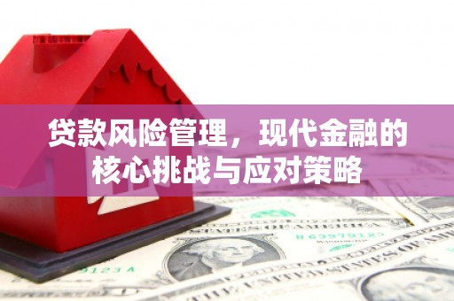 合肥贷款风险管理，现代金融的核心挑战与应对策略