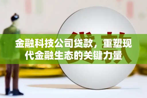 合肥金融科技公司贷款，重塑现代金融生态的关键力量