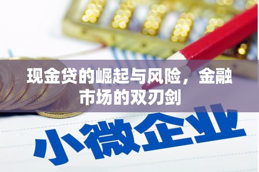 合肥现金贷的崛起与风险，金融市场的双刃剑