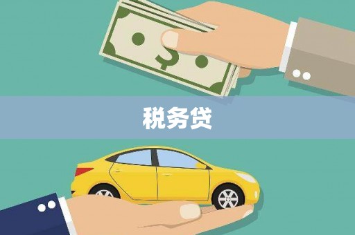 合肥税务贷