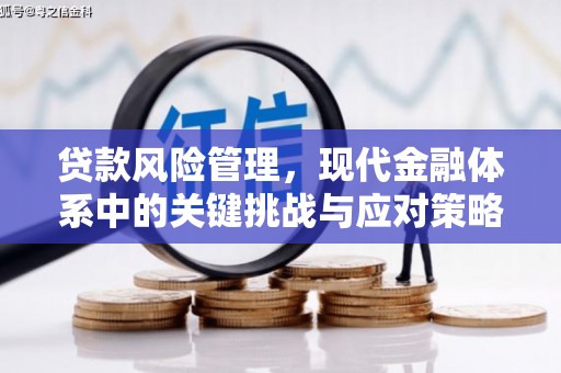 合肥贷款风险管理，现代金融体系中的关键挑战与应对策略