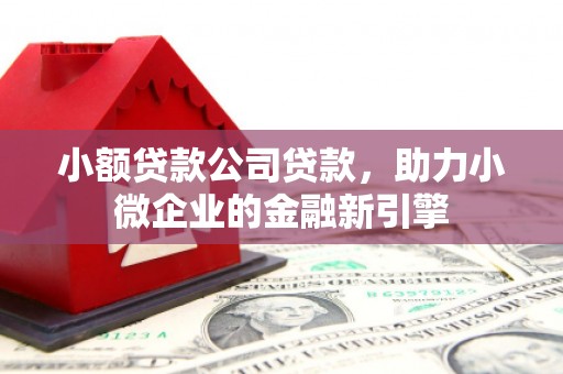 合肥小额贷款公司贷款，助力小微企业的金融新引擎