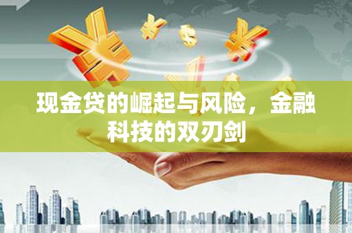 合肥现金贷的崛起与风险，金融科技的双刃剑