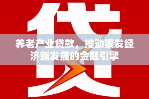 合肥养老产业贷款，推动银发经济新发展的金融引擎