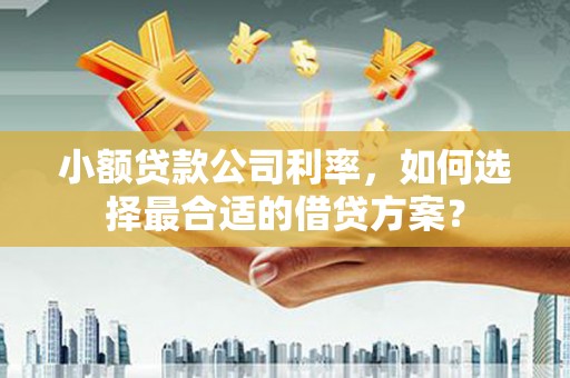 合肥小额贷款公司利率，如何选择最合适的借贷方案？