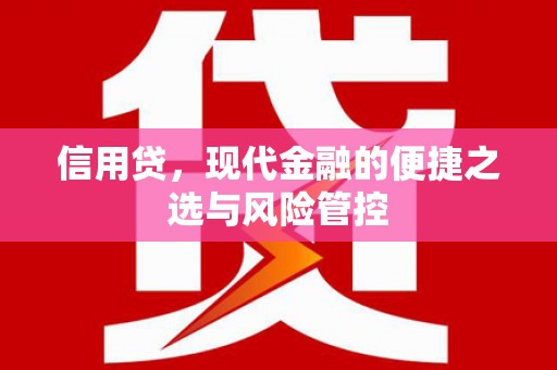 合肥信用贷，现代金融的便捷之选与风险管控