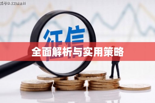 合肥全面解析与实用策略