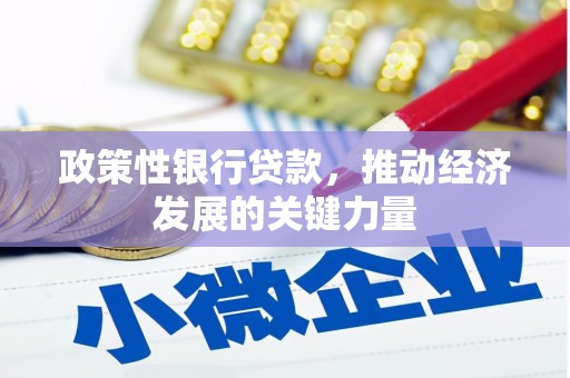 合肥政策性银行贷款，推动经济发展的关键力量