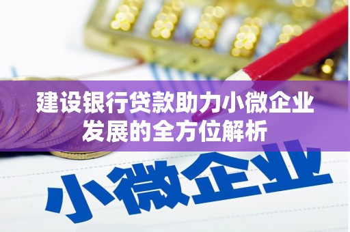 合肥建设银行贷款助力小微企业发展的全方位解析