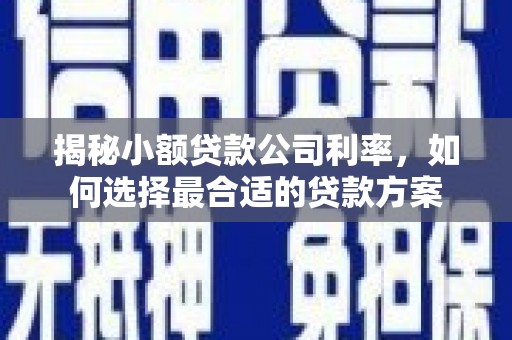 合肥揭秘小额贷款公司利率，如何选择最合适的贷款方案