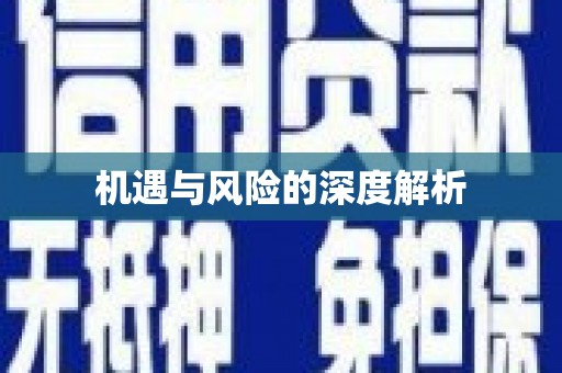 合肥机遇与风险的深度解析