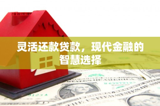 合肥灵活还款贷款，现代金融的智慧选择