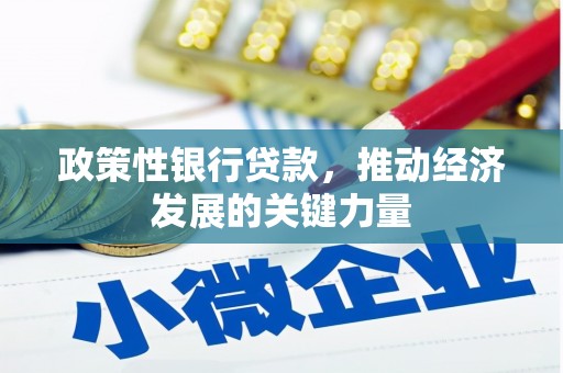 合肥政策性银行贷款，推动经济发展的关键力量