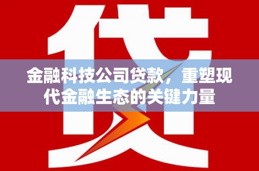 合肥金融科技公司贷款，重塑现代金融生态的关键力量