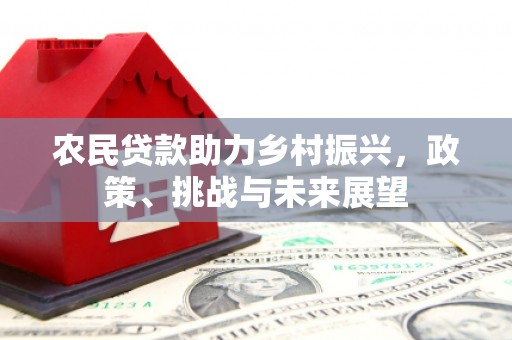 合肥农民贷款助力乡村振兴，政策、挑战与未来展望