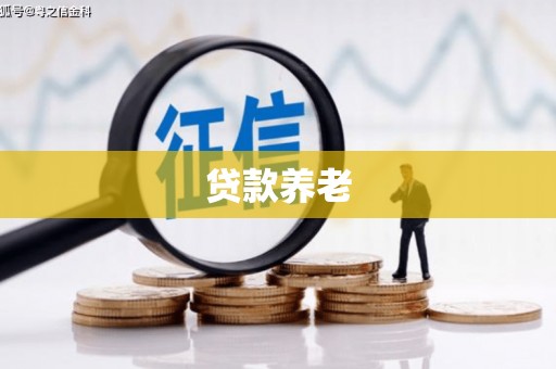 合肥贷款养老