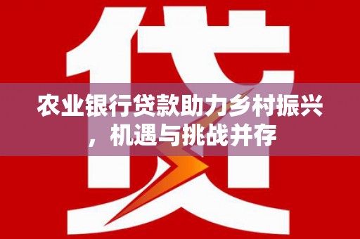 合肥农业银行贷款助力乡村振兴，机遇与挑战并存