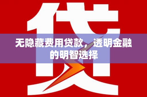 合肥无隐藏费用贷款，透明金融的明智选择
