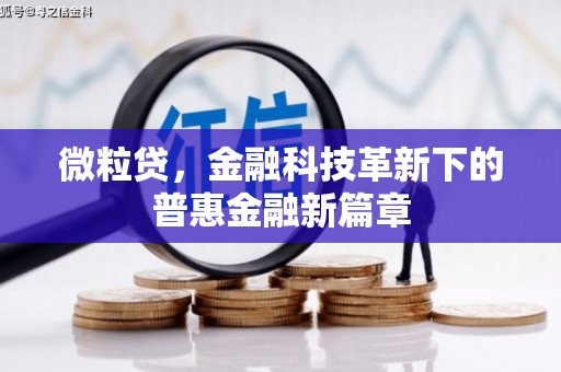 合肥微粒贷，金融科技革新下的普惠金融新篇章