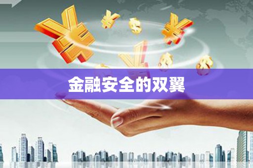 合肥金融安全的双翼
