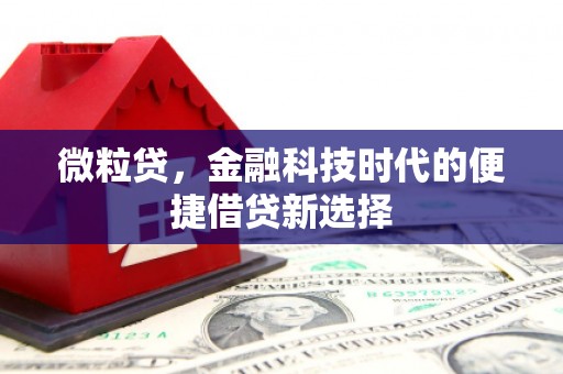 合肥微粒贷，金融科技时代的便捷借贷新选择