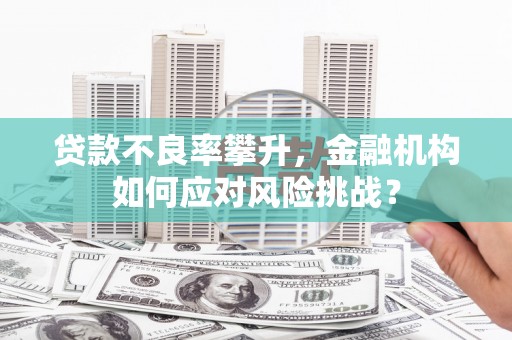 合肥贷款不良率攀升，金融机构如何应对风险挑战？