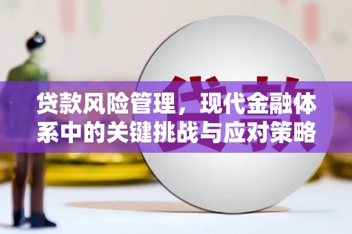 合肥贷款风险管理，现代金融体系中的关键挑战与应对策略