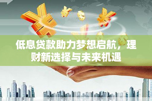 合肥低息贷款助力梦想启航，理财新选择与未来机遇
