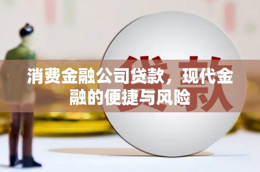 合肥消费金融公司贷款，现代金融的便捷与风险