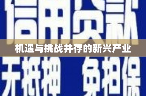 合肥机遇与挑战并存的新兴产业