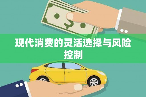 合肥现代消费的灵活选择与风险控制