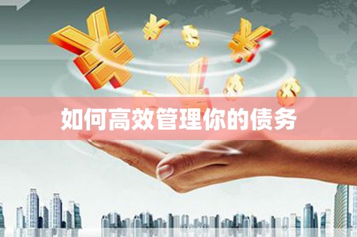 合肥如何高效管理你的债务